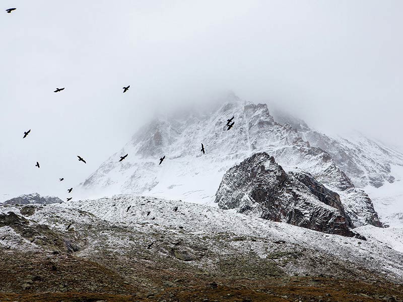 Beautiful South America Expeditions